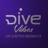 Иконка канала DiveVibes