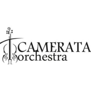 Иконка канала Camerata.vl