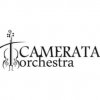 Иконка канала Camerata.vl