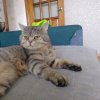 Иконка канала Каспер ТОП! ❤
