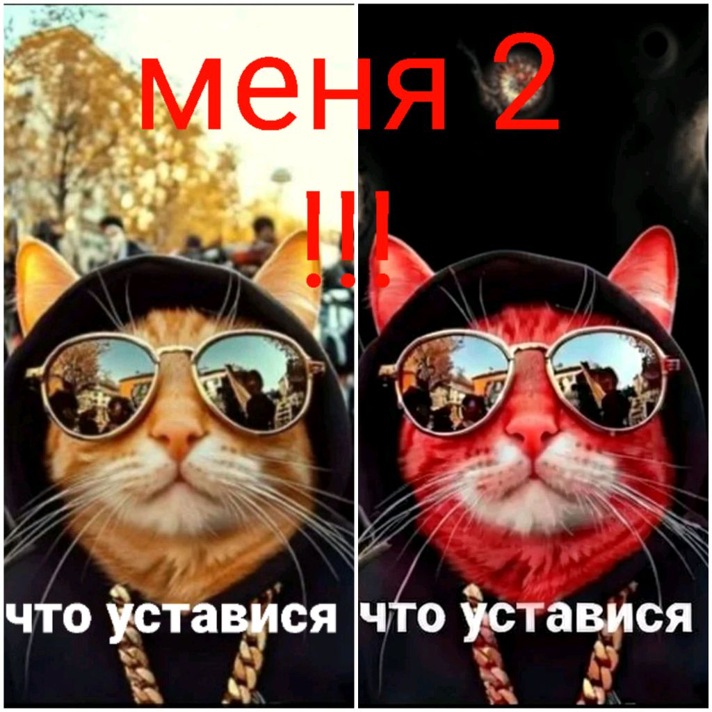 Иконка канала Кот Бандит