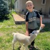Иконка канала Ферма у Вадима