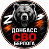 Иконка канала Донбасс СВО Берлога 333
