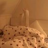 Иконка канала ᯓ.🌿Чᴇᴩни_Рбх.🤍( Рест. Отдыхает.)