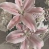Иконка канала 🌺°Бумажная πoli°🌷