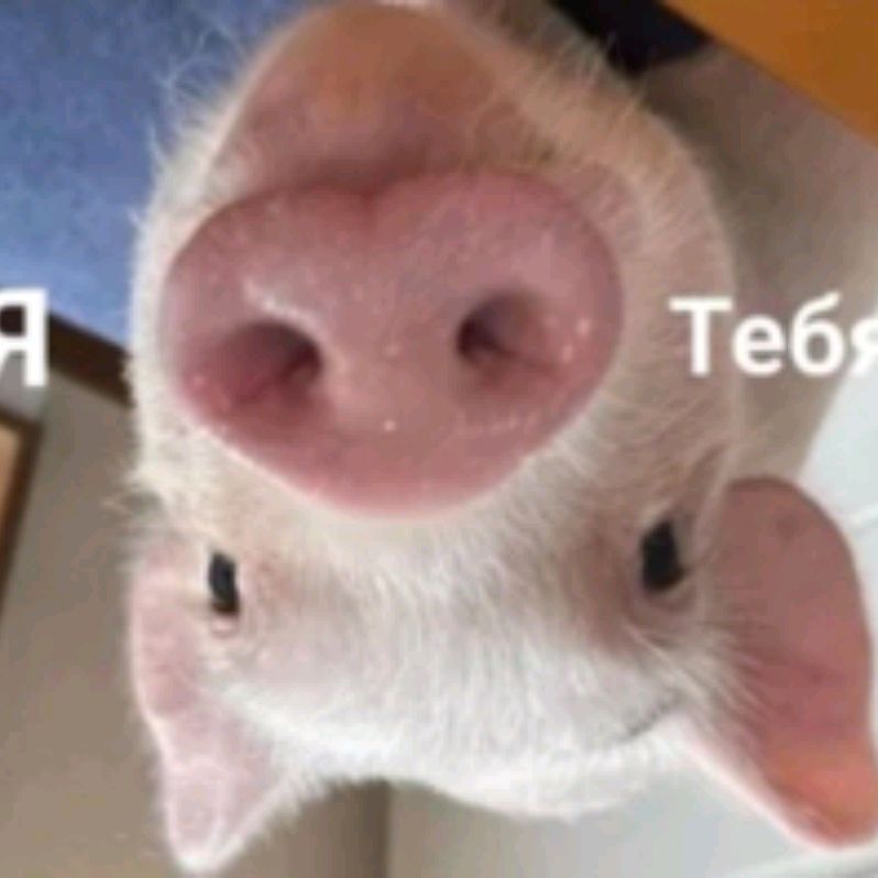 Иконка канала Я Тебя Люблю