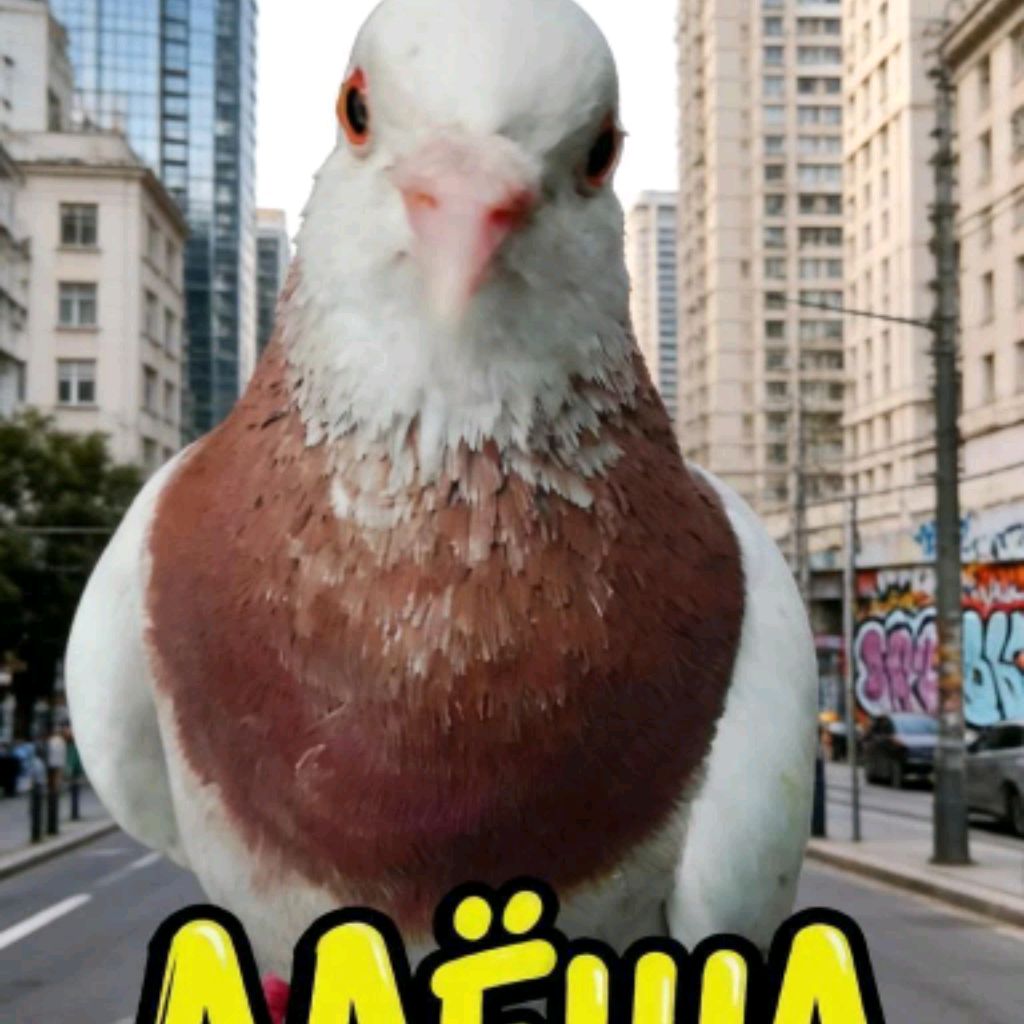 Иконка канала Голубь Алëша 😄🕊 TV
