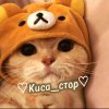 Иконка канала 🐱♡Киса_Стор♡🐱