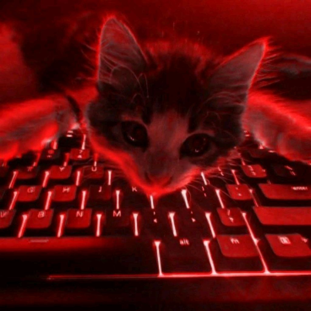 Иконка канала Вика кошка