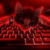 Иконка канала Вика кошка