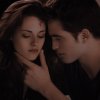 Иконка канала Aisha Family Life🌷🌹🌟