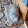 Иконка канала 😍🌺 Miss Maria 😍🌺