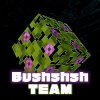 Иконка канала Bushshsh TEAM