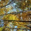 Иконка канала Светлана