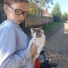 Иконка канала Мир Развлечений