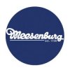 Иконка канала Meesenburg.ru