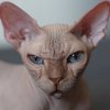 Иконка канала BabudayAga