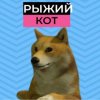 Иконка канала Кот рыжик