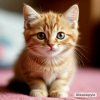 Иконка канала КотикTV 🐱