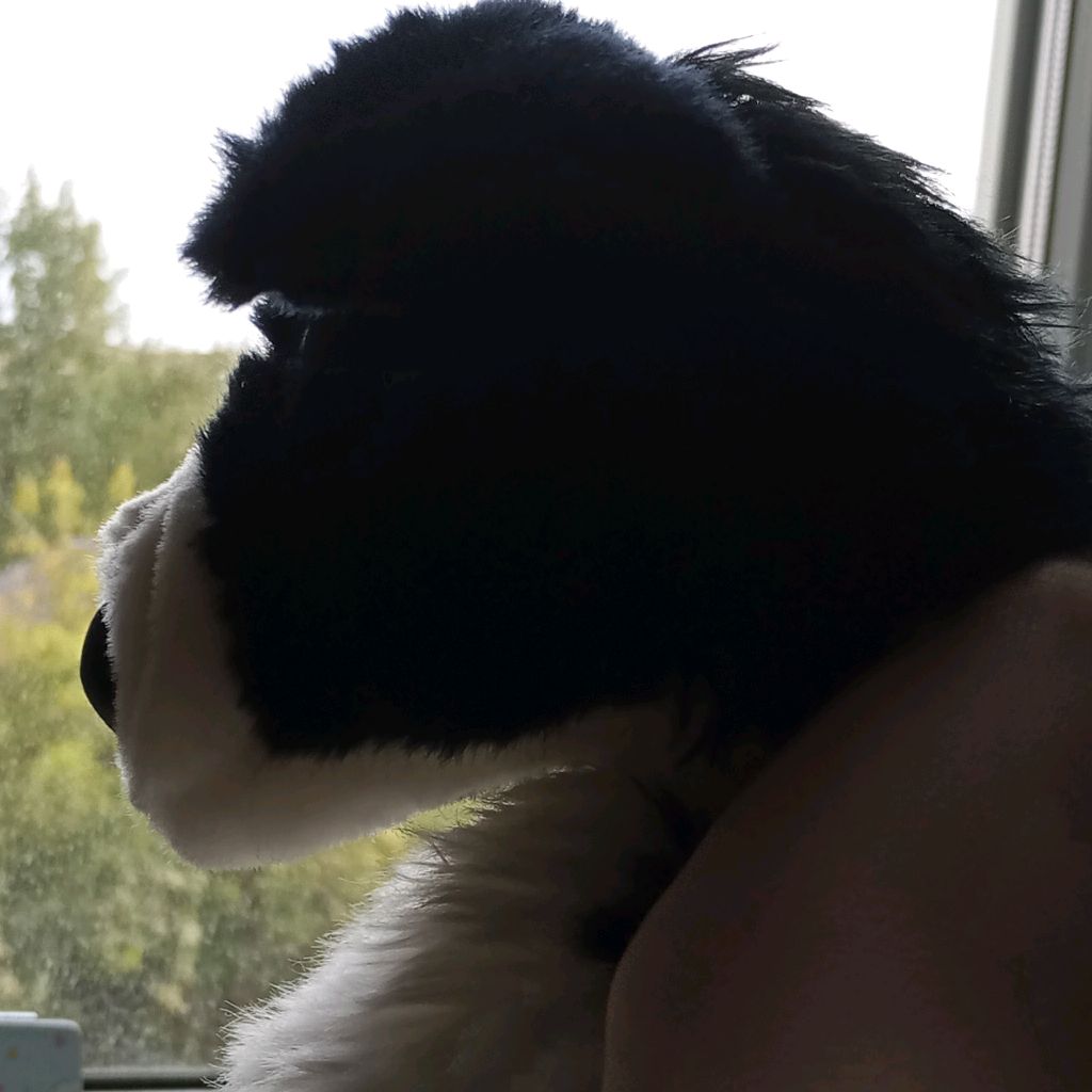 Иконка канала 🎀🐾luna Essa🐾🎀