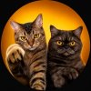 Иконка канала Майкл & Джексон 🐾 | AI-комедия