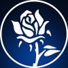 Иконка канала Сын Лесты