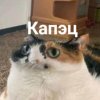 Иконка канала Апопус