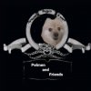 Иконка канала Pelmen Studio.Inc