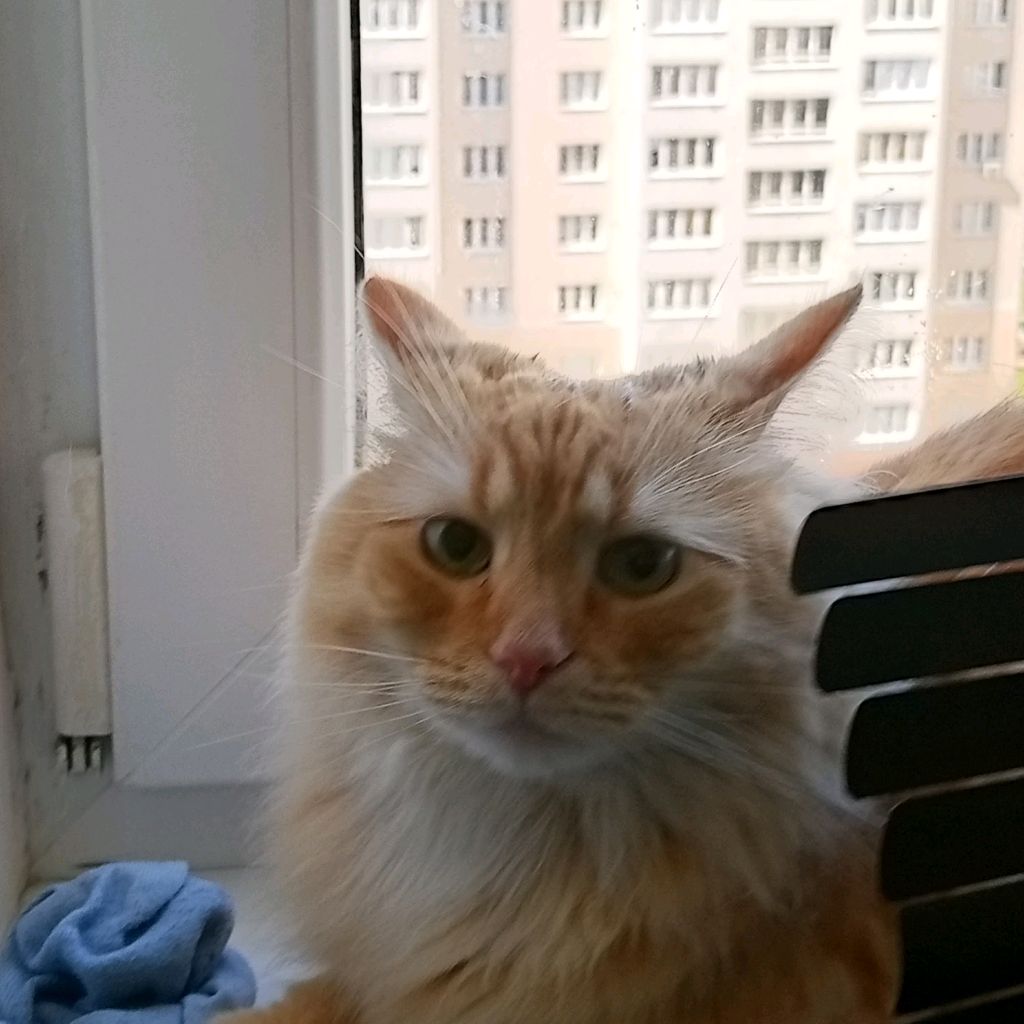 Аватар
