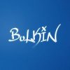 Иконка канала Bulkin - Перезаливы