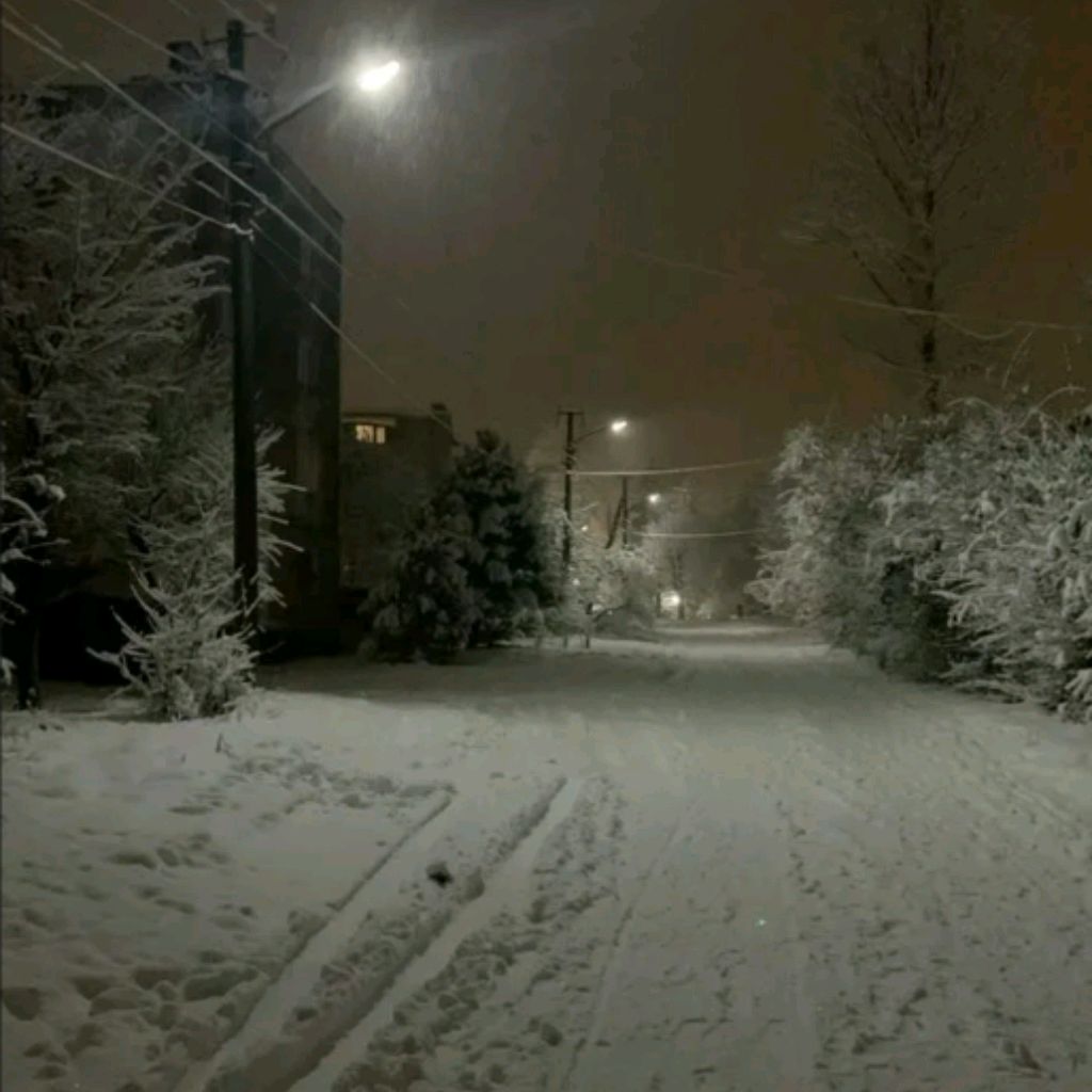 Иконка канала ❄новогодний Вайб❄