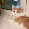 Иконка канала Бар$юшка и Макс 😸🧒🏼