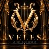 Иконка канала VELES  MUSIC AGENCY