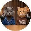Иконка канала ПОДКАСТ КОТОВ