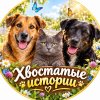 Иконка канала 🐾 Хвостатые друзья ❤️