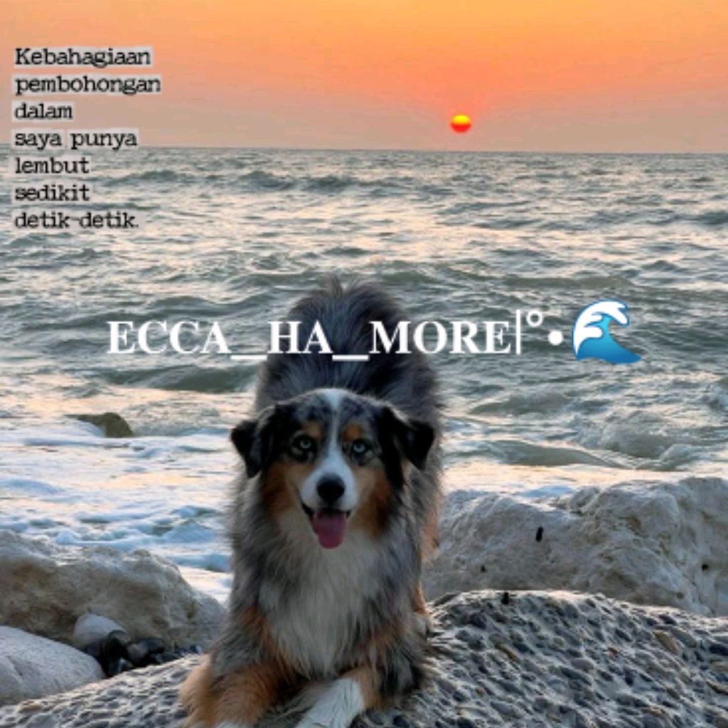 Иконка канала 𝐄𝐂𝐂𝐀_𝐇𝐀_𝐌𝐎𝐑𝐄|°•🌊