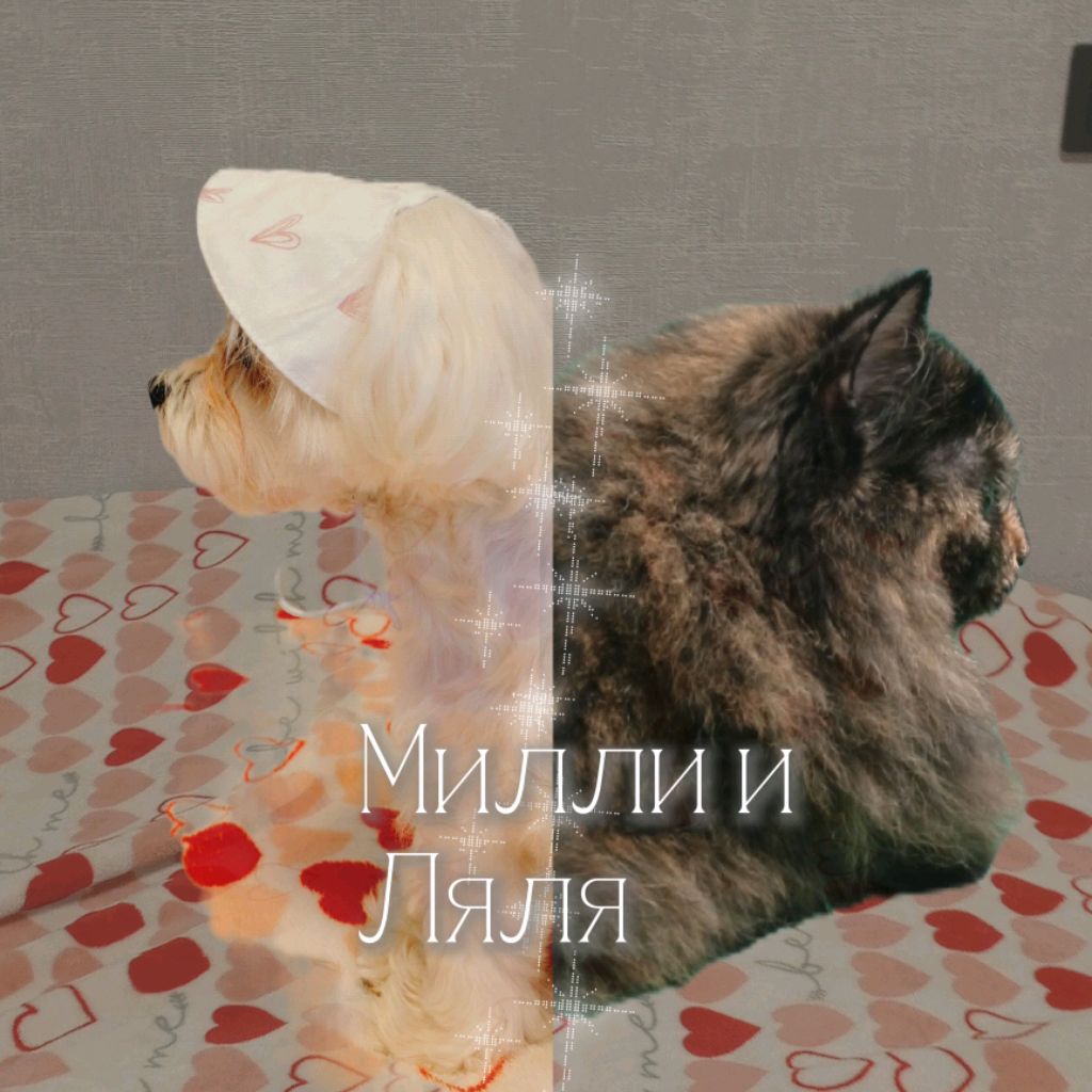 Иконка канала Милли и Ляля🐾