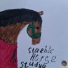 Иконка канала StaibleHorse Studio