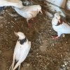Иконка канала Дмитрий Тамбовская область