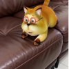 Иконка канала Плэй Борл