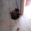 Иконка канала Нечего Смотреть