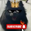 Иконка канала Великая Юкиша первая из Супер Стаи👑🐺🔥