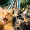 Иконка канала 😽Джуси Хаус🌑