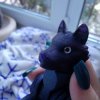 Иконка канала ﹤🕸️ⲉᥴ^•^ᥲύ🫍﹥