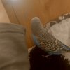 Иконка канала Дима Про