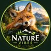 Иконка канала Nature Vibes