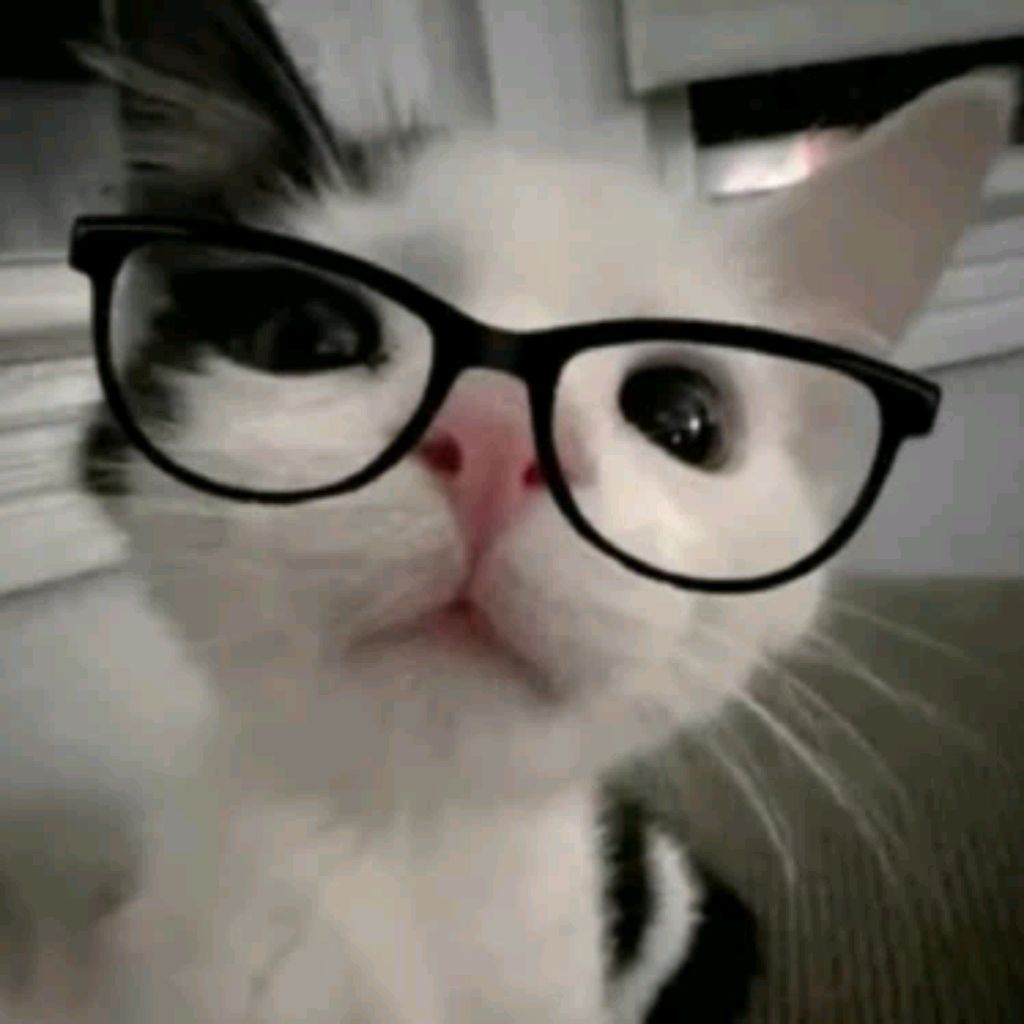 Иконка канала 🐆~ Кошечка~🐱