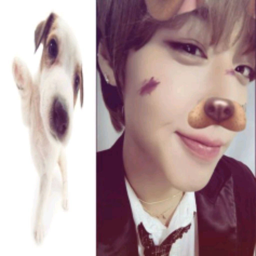 Иконка канала 박지훈을 사랑해