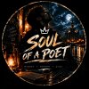 Иконка канала Soul Of A Poet