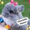 Иконка канала ♥~Chinchillα_Histori~♥